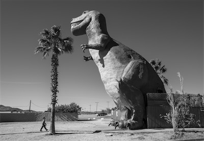 L1000355.jpg